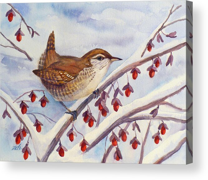 Winter Wren Painting Acrylic Print featuring the painting Winter Wren by Janet Zeh