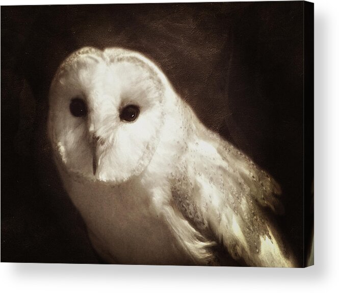 White Owl Acrylic Print featuring the photograph Wisdom Of An Owl by Georgiana Romanovna