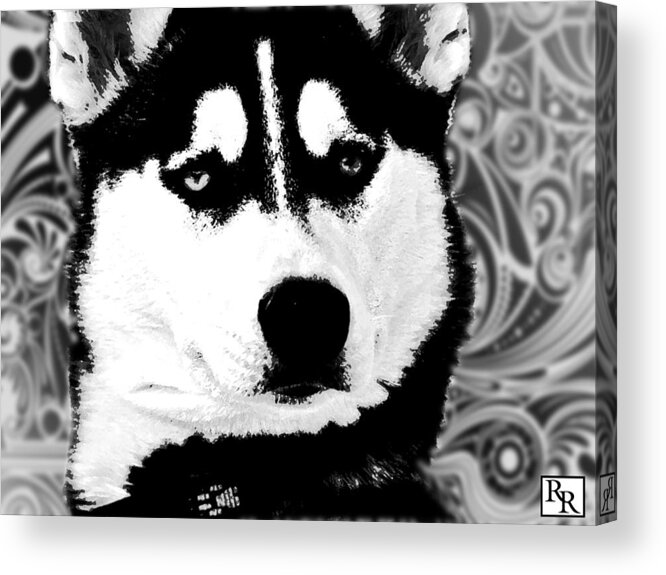 Wolf Acrylic Print featuring the painting Wolf Dog Black White B W by Robert R Splashy Art Abstract Paintings