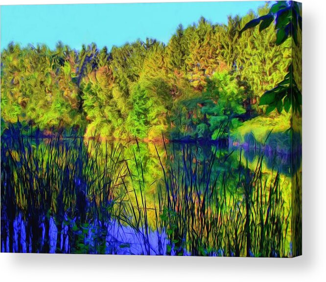 Woods Acrylic Print featuring the digital art Wooded Shore Through Reeds by Dennis Lundell