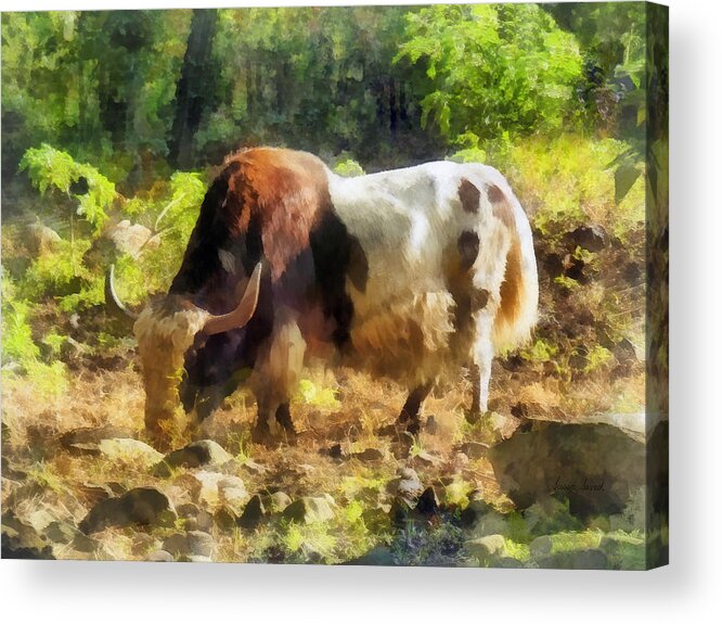 Yak Acrylic Print featuring the photograph Yak Having a Snack by Susan Savad