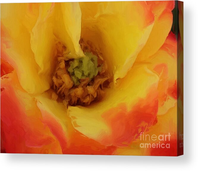 Yellow Acrylic Print featuring the painting Yellow and Orange Rose by Jacklyn Duryea Fraizer