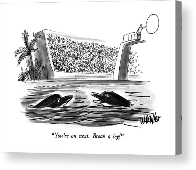 

 One Dolphin Says To Another Acrylic Print featuring the drawing You're On Next. Break A Leg! by Warren Miller