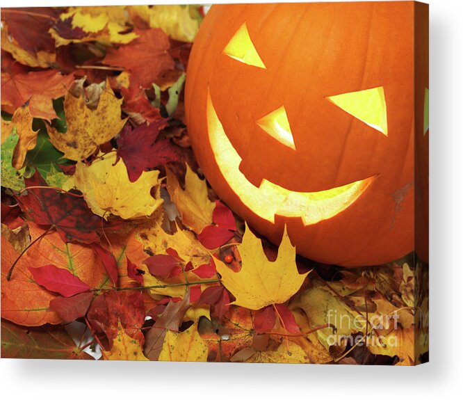 Halloween Acrylic Print featuring the photograph Carved Pumpkin on Fallen Leaves #1 by Maxim Images Exquisite Prints