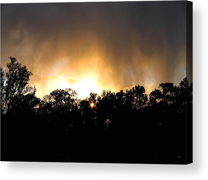 Grand Canyon Acrylic Print featuring the photograph Grand Canyon 10 #1 by Will Borden