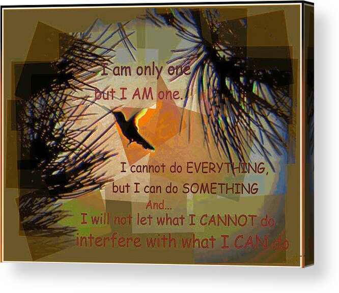 Hummingbird Acrylic Print featuring the photograph I AM One #1 by Michelle Frizzell-Thompson