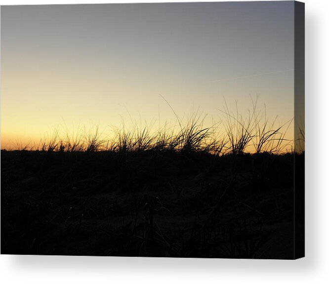 Seagrass Acrylic Print featuring the photograph Just A Touch by Kim Galluzzo Wozniak