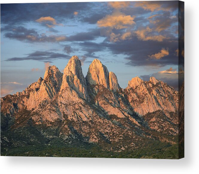 00438928 Acrylic Print featuring the photograph Organ Mountains Near Las Cruces New by Tim Fitzharris