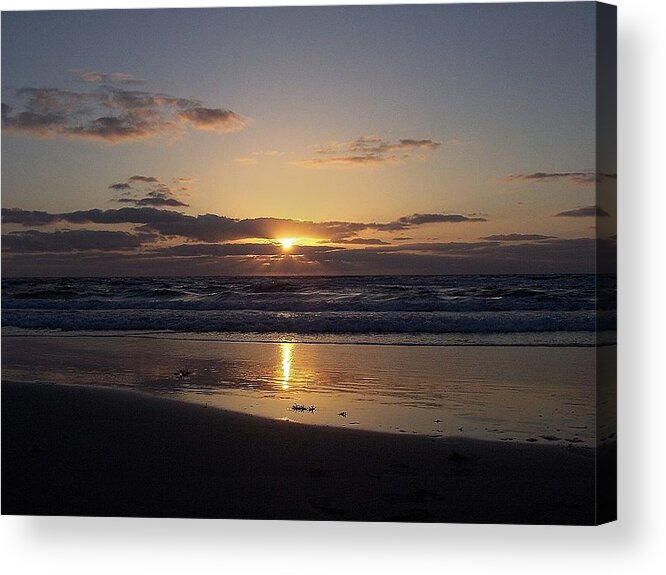 Sunrise Acrylic Print featuring the photograph Rebirth #1 by Sheila Silverstein