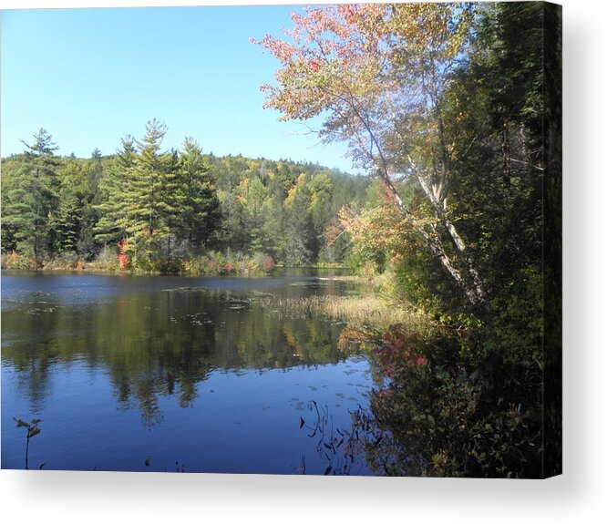 Fall Acrylic Print featuring the photograph Fall in New England #2 by Kim Galluzzo