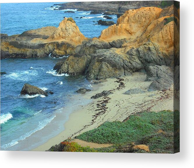 California Acrylic Print featuring the photograph Bodega Bay by Kelly Manning