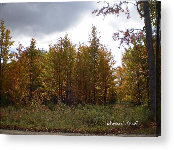  Acrylic Print featuring the photograph Fall Colors Collection - Michigan #3 by Monica C Stovall