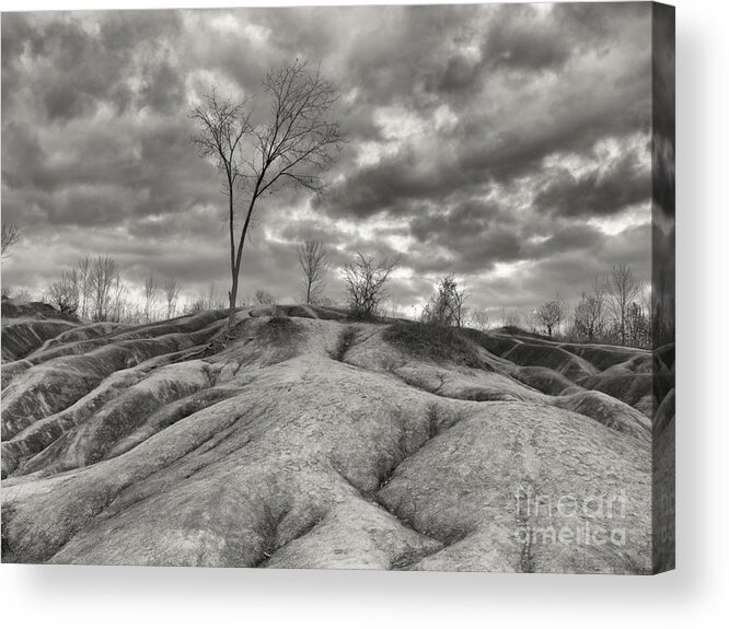 Badlands Acrylic Print featuring the photograph Badlands #4 by Maxim Images Exquisite Prints