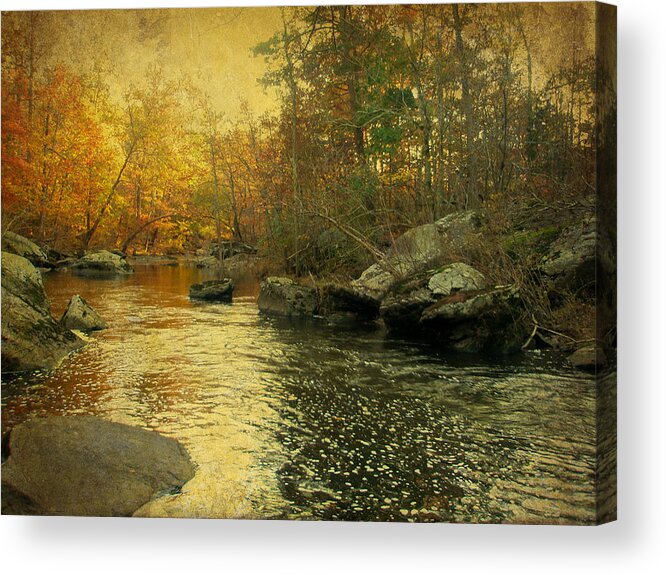 Creek Acrylic Print featuring the photograph A Golden Autumn at the Unami by Carol Senske