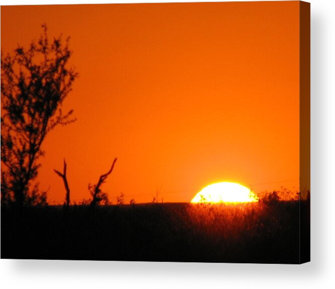Sunset In Austin Acrylic Print featuring the photograph A Longhorn Sunset by Shawn Hughes