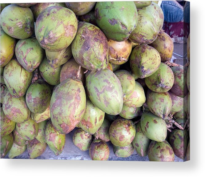 Tender Acrylic Print featuring the photograph A number of tender raw coconuts in a pile by Ashish Agarwal