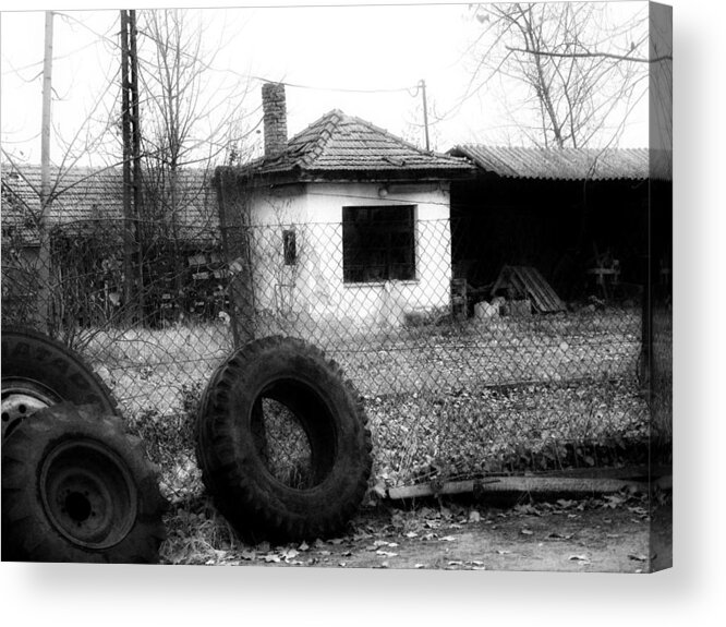Backyard Acrylic Print featuring the photograph Across the Fence by Mimulux Patricia No