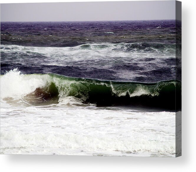 Fine Art Print Acrylic Print featuring the photograph Aftermath of a Storm V by Patricia Griffin Brett