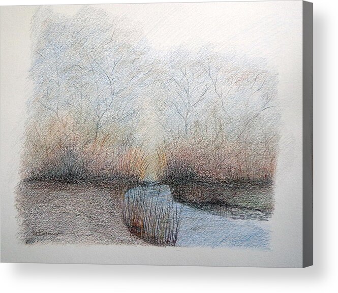 Trees Acrylic Print featuring the drawing At the Woodline by Leslie M Browning