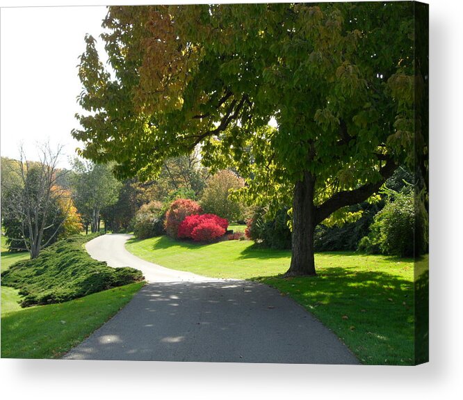 Landscape Acrylic Print featuring the photograph Autumn by Val Oconnor