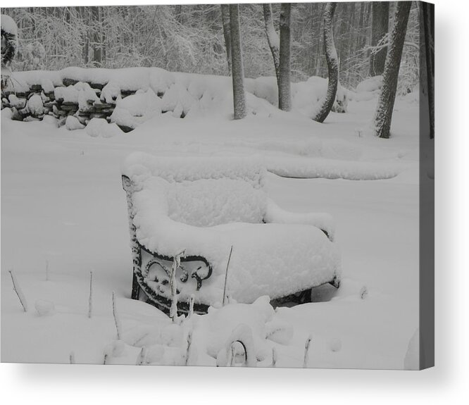 Snow Acrylic Print featuring the photograph Baby Its Cold Outside by Kim Galluzzo