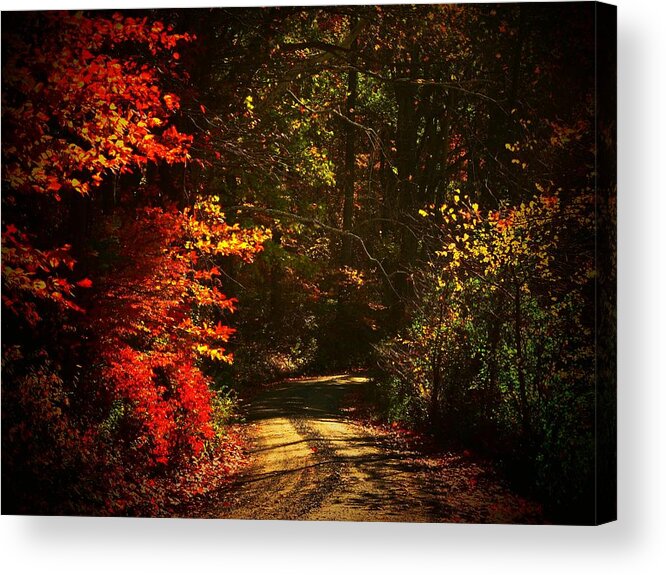 Virginia Acrylic Print featuring the photograph Back Country Road by Joyce Kimble Smith