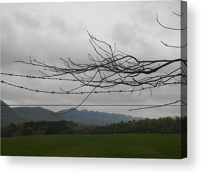 Landscape Acrylic Print featuring the photograph Barbed Wire Promenade by Jack Harries