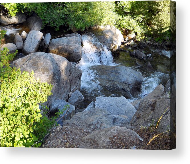 Water Acrylic Print featuring the photograph Bear Creek 2 by Eric Forster