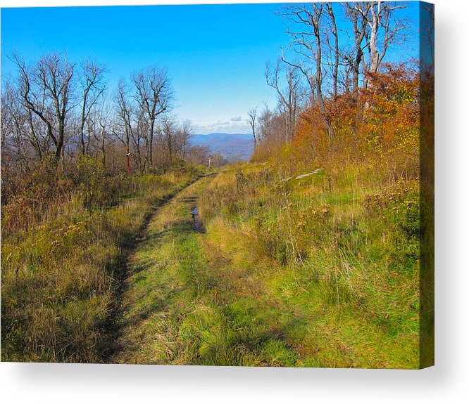 Belleayre Mtn Acrylic Print featuring the photograph Belleayre Trail in Late Fall by Kathryn Barry