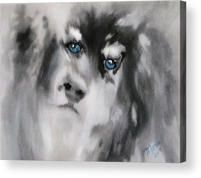 Dog Acrylic Print featuring the painting Blue by Maris Sherwood