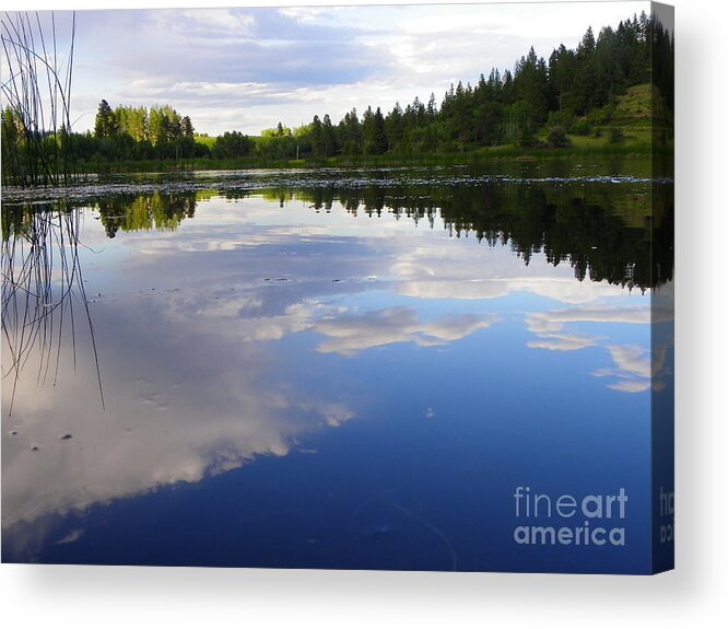 Lake Acrylic Print featuring the photograph Borrowed Blue by KD Johnson