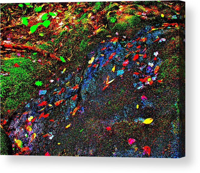 Landscape Acrylic Print featuring the photograph Brook Texture 101 by George Ramos