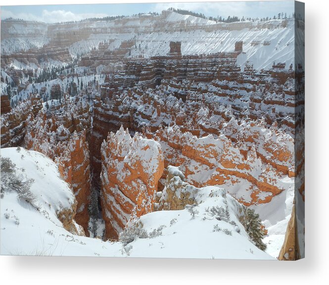 Landscape Acrylic Print featuring the photograph Bryce Canyon Feburary by Stephen Bartholomew