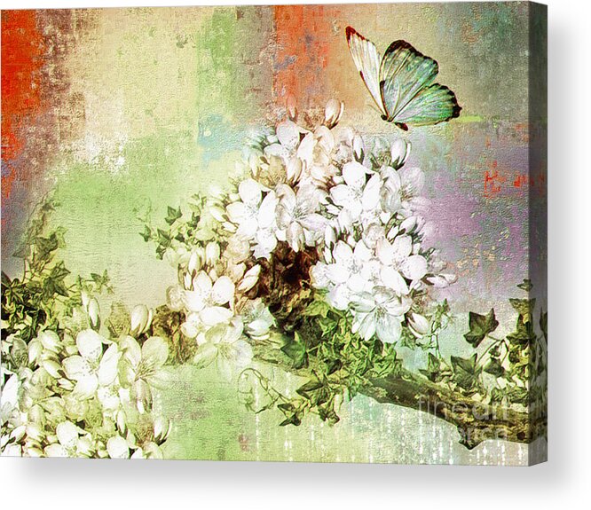 Butterfly Acrylic Print featuring the digital art Butterfly by Elaine Manley