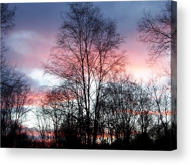 Butterfly Acrylic Print featuring the photograph Butterfly Wings Of Pink In The Sky by Kim Galluzzo Wozniak