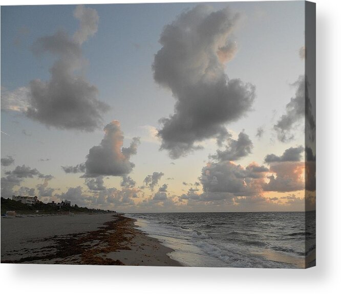 Nature Acrylic Print featuring the photograph Castles In The Sky by Sheila Silverstein
