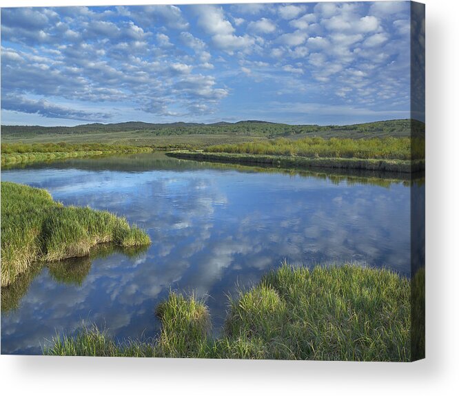 00176500 Acrylic Print featuring the photograph Clouds Reflected In The Green River by Tim Fitzharris