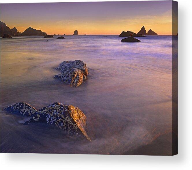 00176843 Acrylic Print featuring the photograph Coastline Lone Beach Oregon by Tim Fitzharris