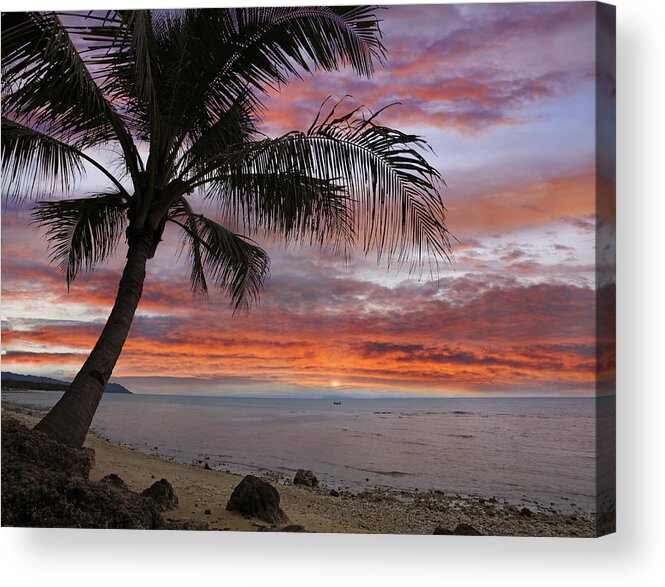 00451406 Acrylic Print featuring the photograph Coconut Palm At Sunset Near Dimiao by Tim Fitzharris
