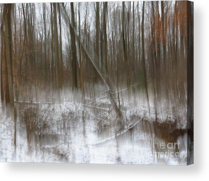 Nature Acrylic Print featuring the photograph Cold woods abstract by Rrrose Pix