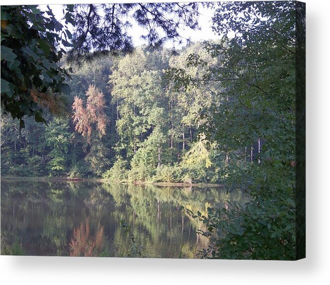 Trees Acrylic Print featuring the photograph Colors of Autumn by Lynnette Brashear