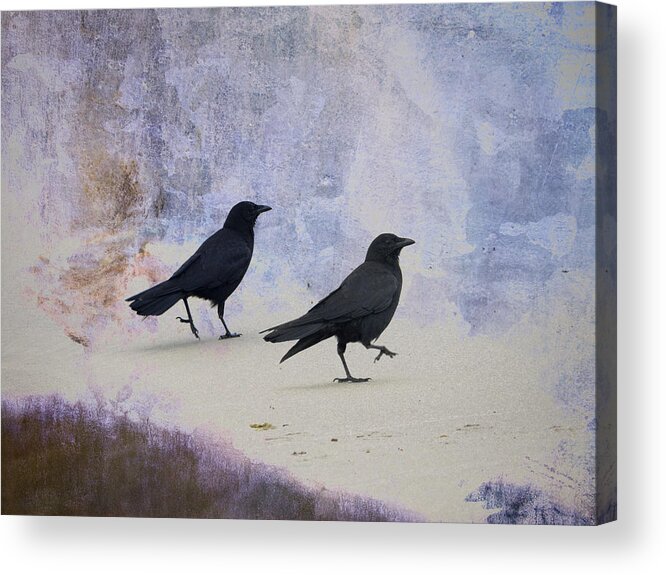 Crow Acrylic Print featuring the photograph Crows Walking on the Beach by Carol Leigh