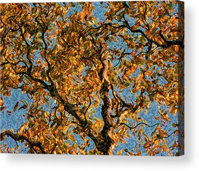 Tree Acrylic Print featuring the photograph Daydreamer by Jessica Brawley