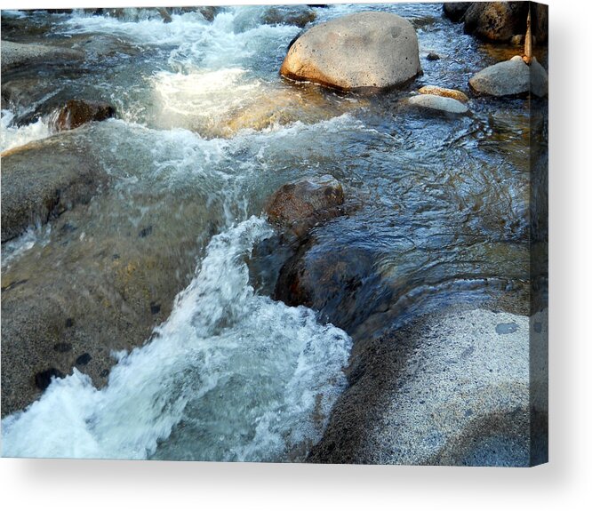 Water Acrylic Print featuring the photograph Dinkey Creek 12 by Eric Forster