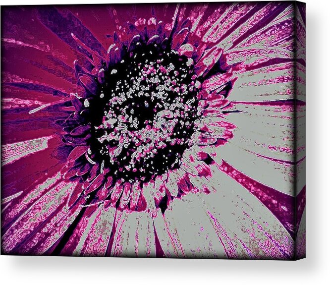 Daisy Acrylic Print featuring the photograph Electricity by Vickie Beasley