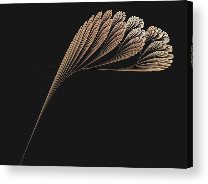Abstract Acrylic Print featuring the digital art Elegant Fern - Abstract Art by Rod Johnson
