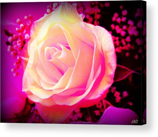 Rose Acrylic Print featuring the photograph Fairy Rose by Michelle Frizzell-Thompson