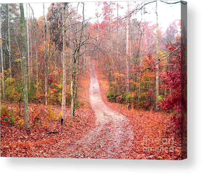  Acrylic Print featuring the photograph Fall Drive by Gretchen Allen