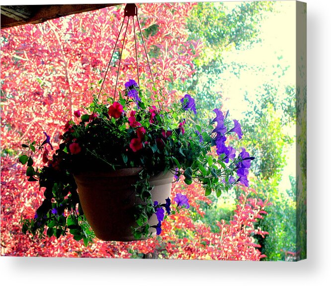 Photograph Acrylic Print featuring the photograph Fall Flowers by Amy Bradley