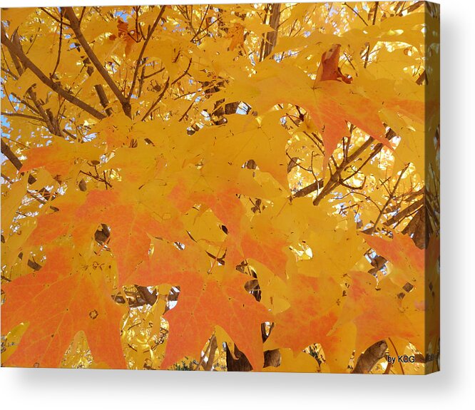 Fall Acrylic Print featuring the photograph Fall in New England by Kim Galluzzo Wozniak